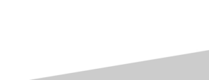pacovis Logo
